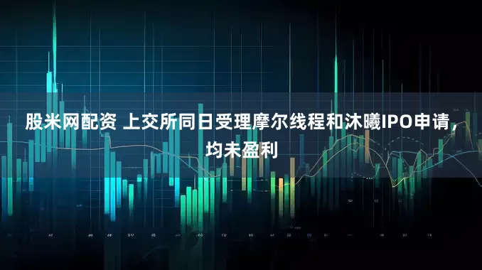 股米网配资 上交所同日受理摩尔线程和沐曦IPO申请，均未盈利