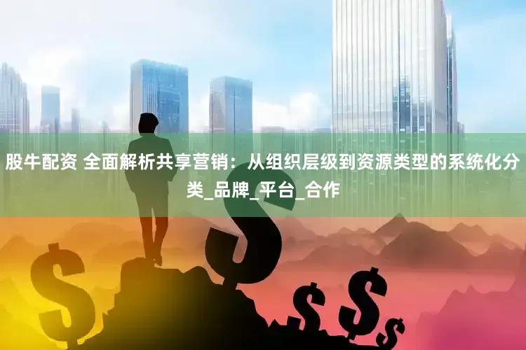 股牛配资 全面解析共享营销：从组织层级到资源类型的系统化分类_品牌_平台_合作