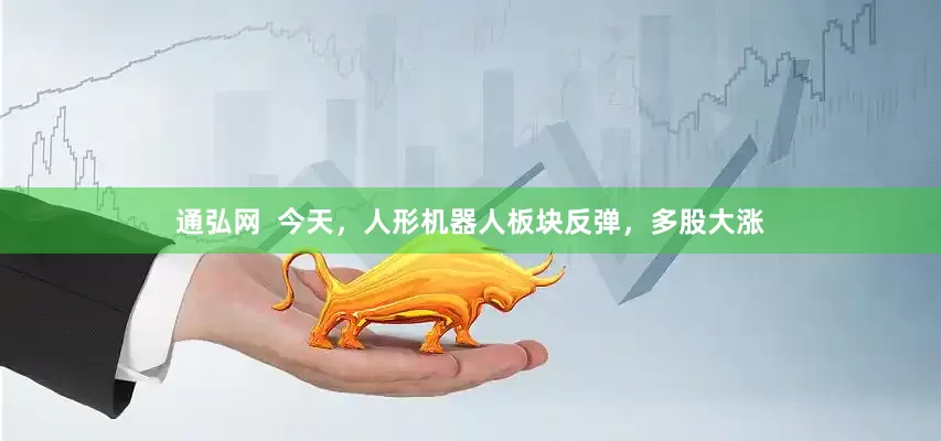 通弘网  今天，人形机器人板块反弹，多股大涨